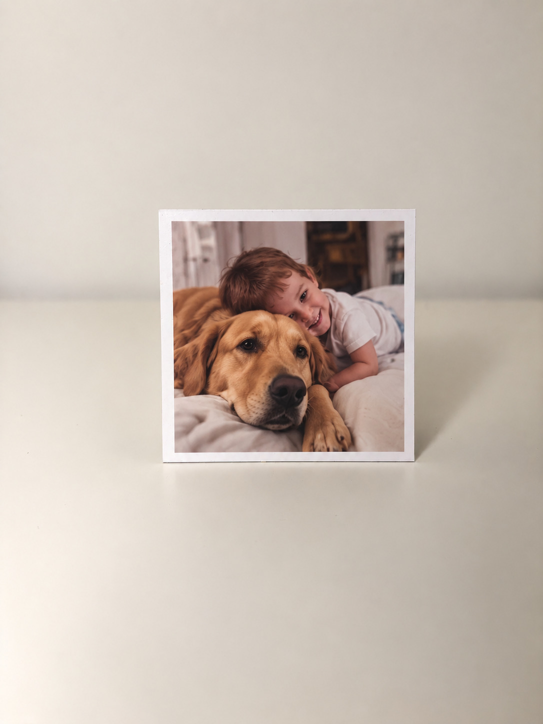 Flat Frame magnets 70×70mm pack of 12